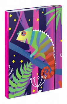 Baagl Desky na školní sešity A4 Chameleon A-30421