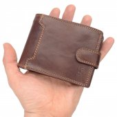 POYEM Pnsk koen penenka 5209 hnd - zip na bankovky